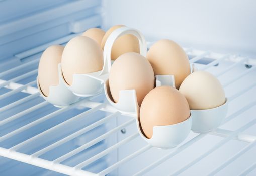 eggs in a stand on a shelf in a refrigerator