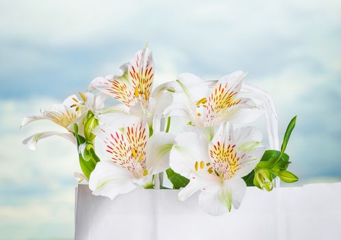 Beautiful bouquet of white alstroemeria flowers in a paper bag against the sky for mother's day, birthday, greeting concept
