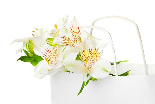 Beautiful bouquet of white alstroemeria flowers in a paper bag for mother's day, birthday, greeting concept, Isolated on white background