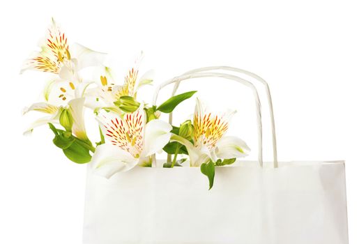 Beautiful bouquet of white alstroemeria flowers in a paper bag for mother's day, birthday, greeting concept, Isolated on white background