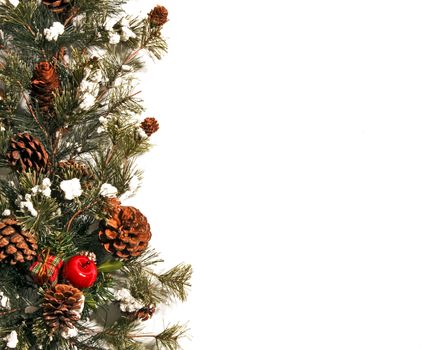 Christmas border of pine branches against white background