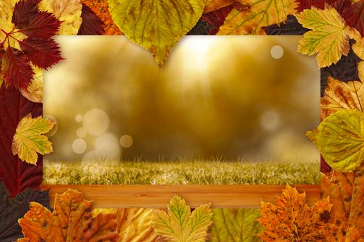 Autumn leaves pattern against bleached wooden planks background