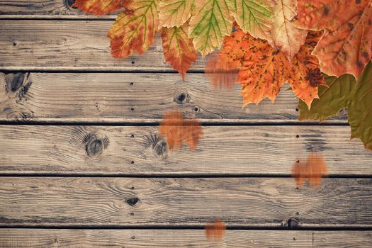 Autumn leaves pattern against wooden planks background