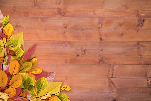 Autumn leaves pattern against bleached wooden planks background