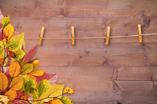 Autumn leaves pattern against bleached wooden planks background