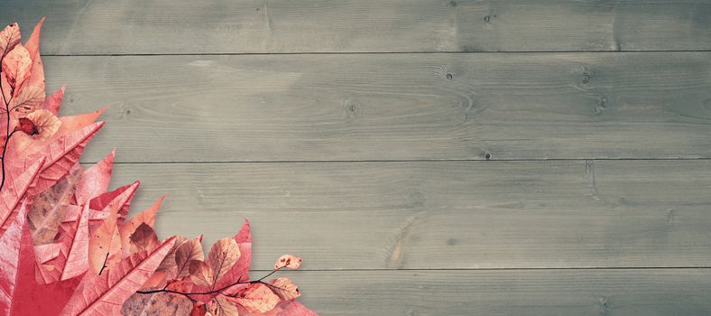 Autumn leaves pattern against bleached wooden planks background