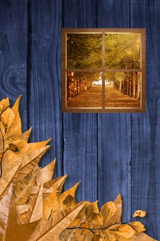 Square shape glass window against autumn leaves on wood