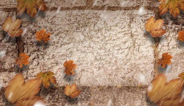 Autumn leaves pattern against textured wall