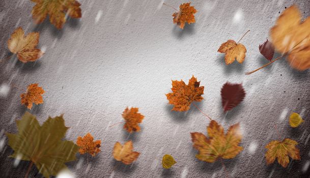 Autumn leaves pattern against grey wall