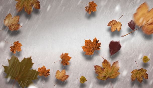 Autumn leaves pattern against white and grey background