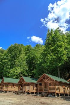 Side view of small wooden bungalows among trees in forest, on blue sky background.