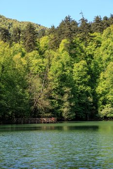 BOLU, TURKEY - MAY 11, 2015 : Landscape of people hanginbg around Yedigoller Lake National Park surrounded by big trees.