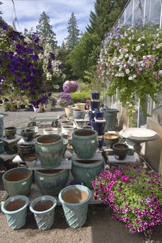 Display of Summer blooms in a farm and garden nursery Canby Oregon.