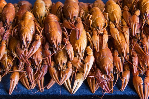 Photo of background with red boiled crawfishes