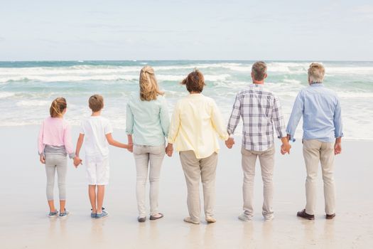 Multi generation family standing beside one another at the beach