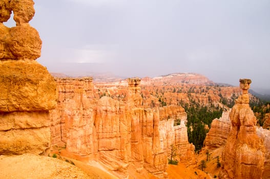 Bryce Canyon National Park, Utah USA in the rain