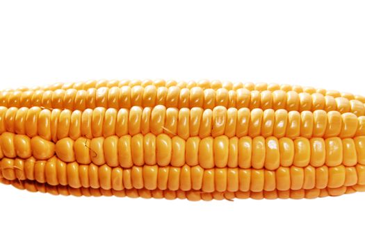 yellow ear of corn isolated on a white background