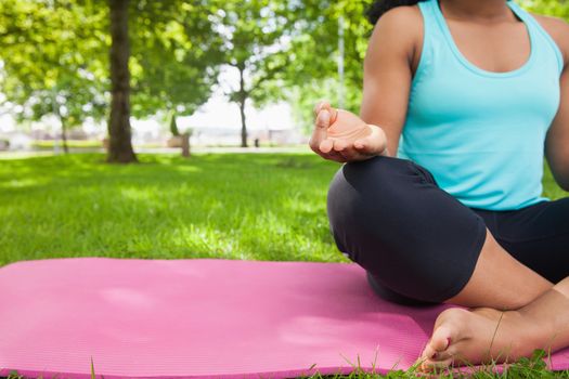 Young woman doing yoga on mat in the park