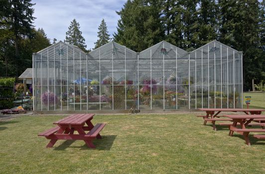 Display of Summer blooms in a farm and garden nursery Canby Oregon.