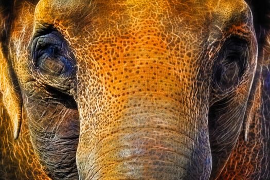Asian Elephant Closeup Face Portrait Abstract Neon Background