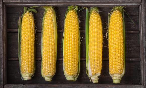 ears of corn in an old wooden box, harvest, top view