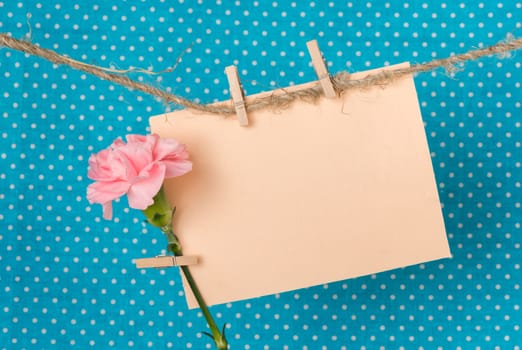 pink carnation and a greeting card on a rope with clothespins against a bright blue background with white polka dots, greeting and love concept, happy birthday, Congratulations on March 8