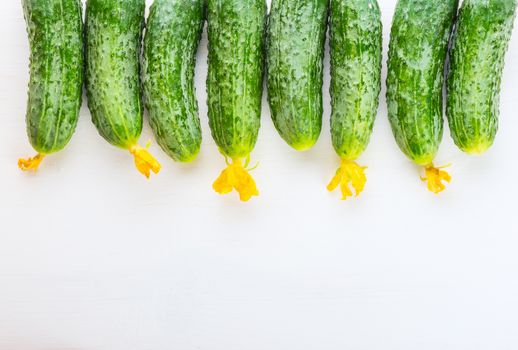 Group of fresh village cucumbers on a white wooden background, close up, top view 