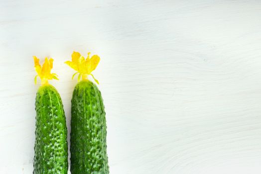 Two fresh cucumbers with flowers on white wooden background