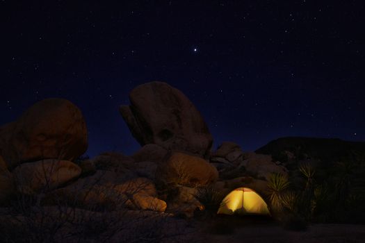 Tent Camping at Night in Joshua Tree Park