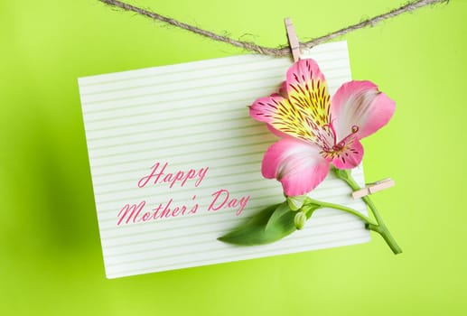 pink Alstroemeria and a greeting card with the text Happy Mothers Day on a rope with clothespins against a bright green  background, greeting and love concept,