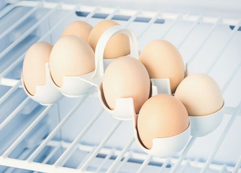 eggs in a stand on a shelf in a refrigerator