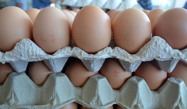 picture of eggs in a market ready fo sale