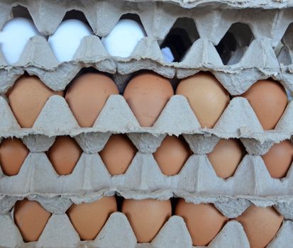 picture of eggs in a market ready fo sale