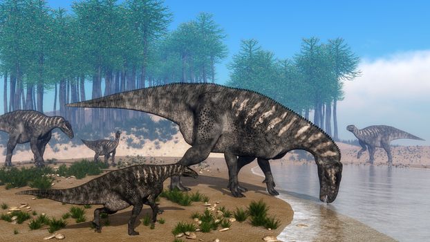 Iguanodon dinosaurs herd walking at the shoreline in front of araucaria trees abd surrounded with onychiopsis plants by day - 3D render