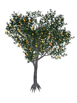 Peach, prunus persica, tree isolated in white background - 3D render