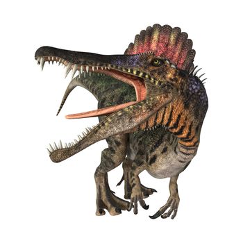 3D digital render of a dinosaur Spinosaurus isolated on white background