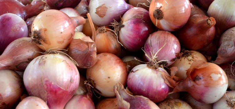 picture of an onion in a market for sale
