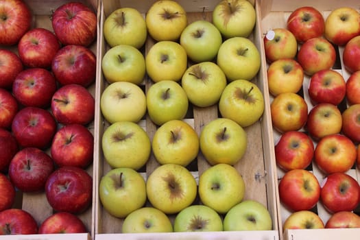 Many apples, yellow, red and green in wooden box