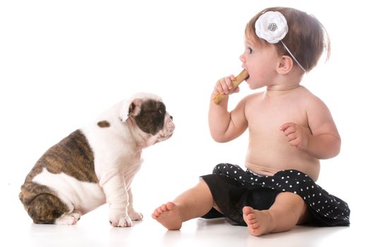 child chewing on dog bone while puppy watches