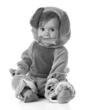 little girl wearing a puppy costume