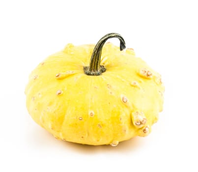 The ornamental pumpkins do not eat, are used to decorate the house, not only during Halloween