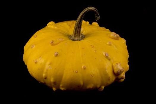 The ornamental pumpkins do not eat, are used to decorate the house, not only during Halloween