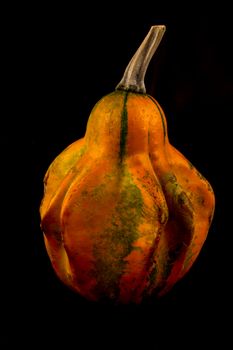 The ornamental pumpkins do not eat, are used to decorate the house, not only during Halloween