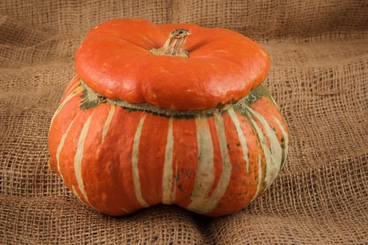 The ornamental pumpkins do not eat, are used to decorate the house, not only during Halloween