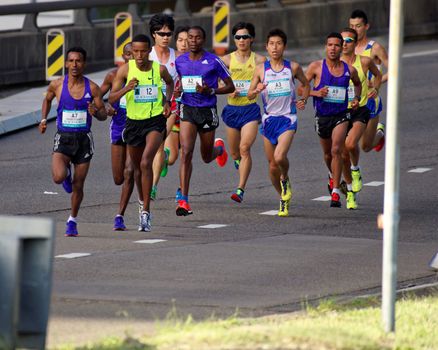 AUSTRALIA, Sydney: Elite marathon runners compete in the Sydney Marathon as part of the Sydney Running Festival on September 20, 2015. Around 30,000 participants took part in the 15th Sydney Running Festival which incorporates a 42km marathon, a half marathon, a 9km bridge run as well as a 3.5km family fun run