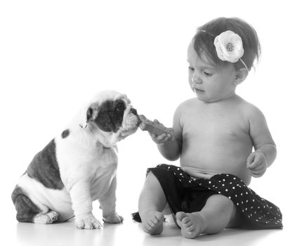 child feeding a puppy a dog bone