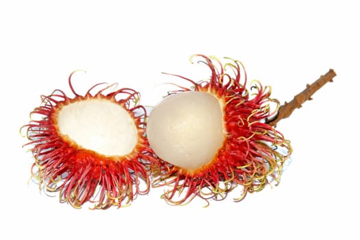 Group of fresh rambutan fruit on white background. Rambutan is a tropical fruit native to Southeast Asia.