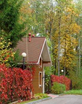 Rustic Cottage House with Fence Twined with Red Leaves Surrounded with Autumn Trees Outdoors