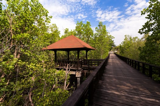 wooden walkway in trees with view point, North Sulawesi, Manado, Indonesia