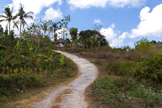 small narrow roand on Nusa Penida Island, Bali Indonesia